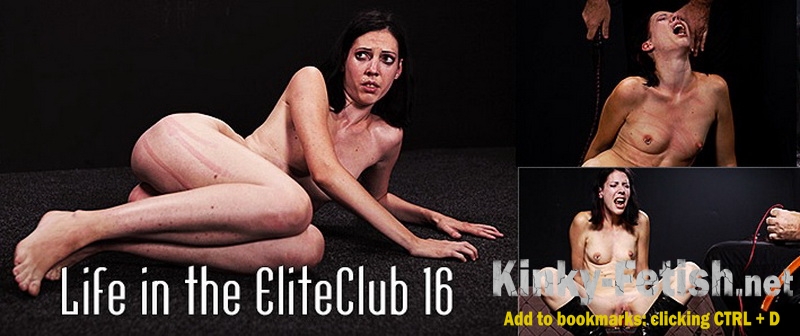 Torture - Life in the EliteClub 16 (ElitePain) | (SD | 2014)