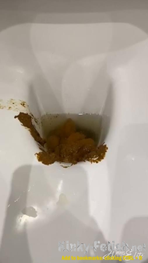 A big pile of shit in the toilet. P1 (HD | 2024)