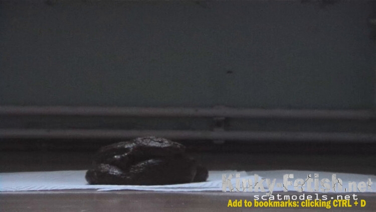 Poop on napkins. P1 (HD | 2024)