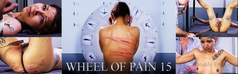 Torture - Wheel of Pain 15 (ElitePain.com) | (FullHD | 2016)