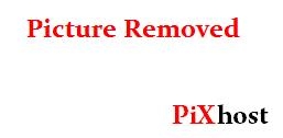 PLBZ – The ass of the human toilet must be punished in order to work properly (HD | 2025)