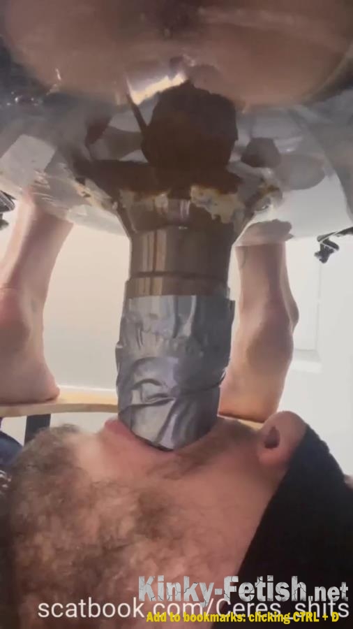 Toilet Annihilation with Goddess Ceres P1 (SD | 2025)