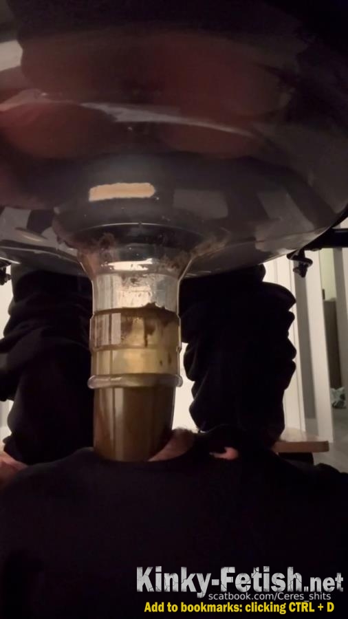 Goddess Ceres-2025-10-19 - Toilet Swallows All My Waste For The Day (SD | 2025)