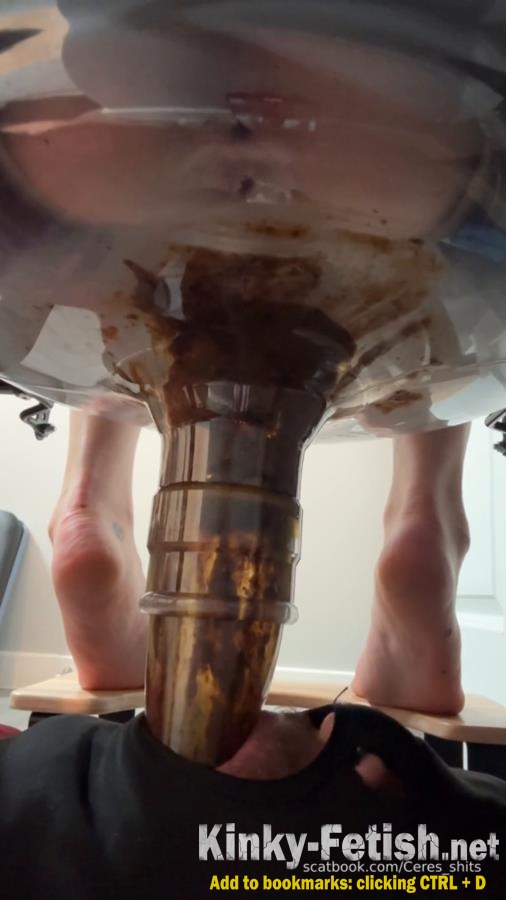 Goddess Ceres - Daily Toilet Torture » Mixfemdomcc - Latest Femdom Porn for Online Streaming (SD | 2025)