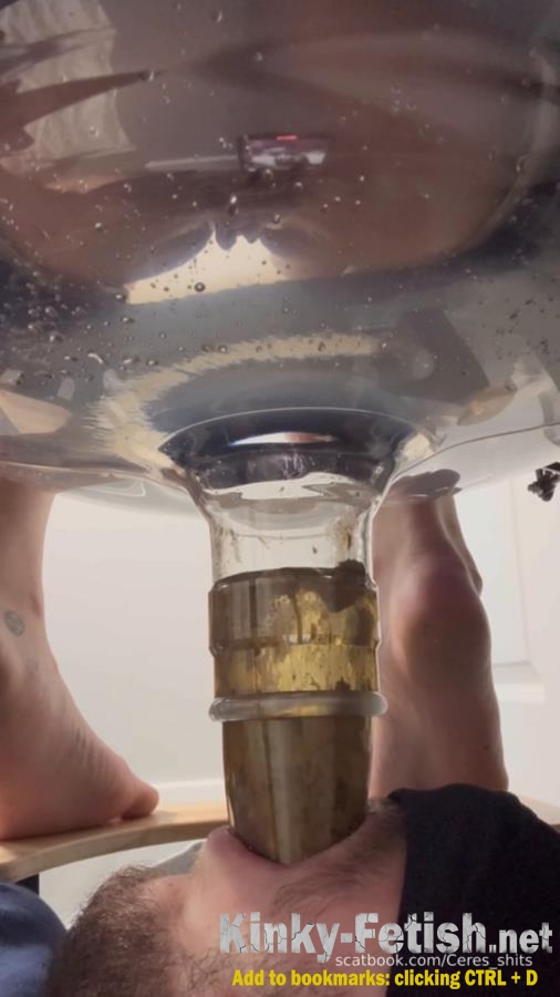 Goddess Ceres - Human Toilet's First Malfunction Infinite Shit Down Your Throat » Mixfemdomcc - Latest Femdom Porn for Online Streaming (SD | 2025)