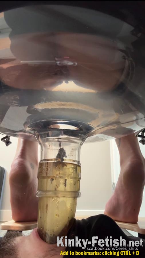 Goddess Ceres - Five Levels of Shit » Mixfemdomcc - Latest Femdom Porn for Online Streaming (SD | 2025)