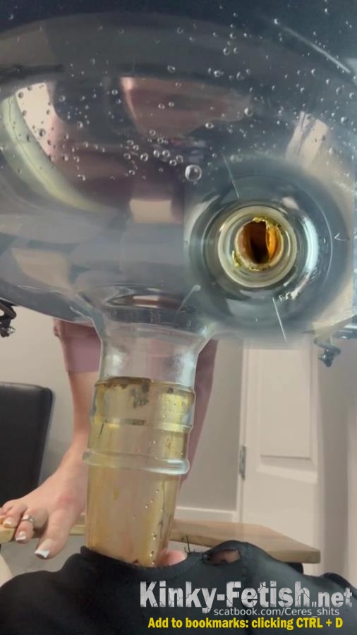 Septic Tank Almost Fails P1 (SD | 2026)