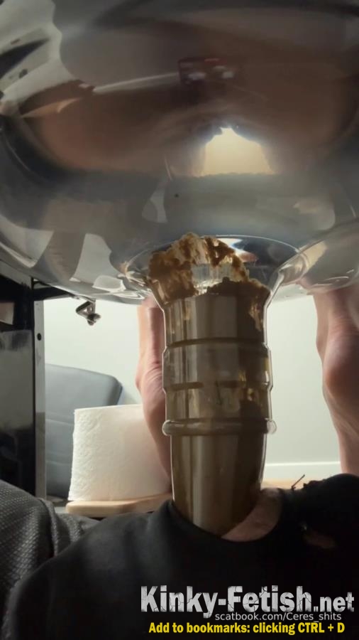 Daily Toilet Torture P1 (SD | 2026)