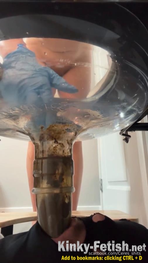 24 Minutes of Daily Toilet Slave Destruction P1 (SD | 2026)