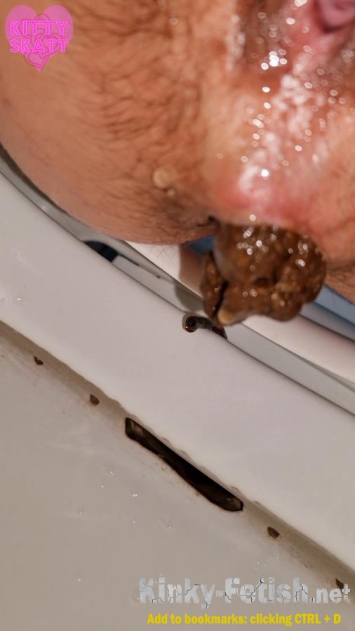 Four unflushable logs (SD | 2026)