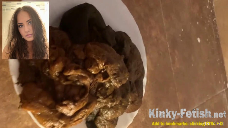 A huge pile of shit goes into the toilet. P1 (HD | 2026)