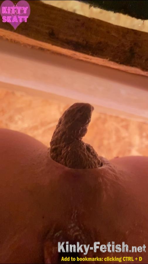 Kitty Skatt - POV hookup in festival toilet (SD | 2026)