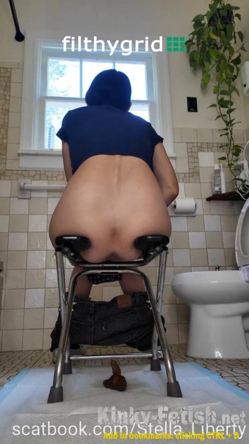 Number Two with the Toilet Chair (SD | 2026)